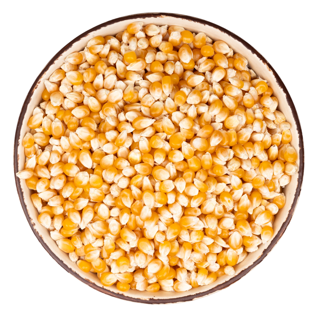 corn-1.png
