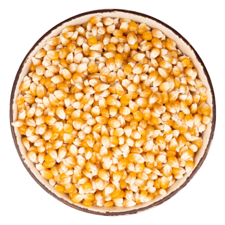 corn-450x450-1.png