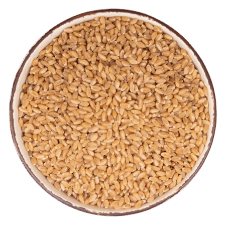 wheat-450x450-1.png